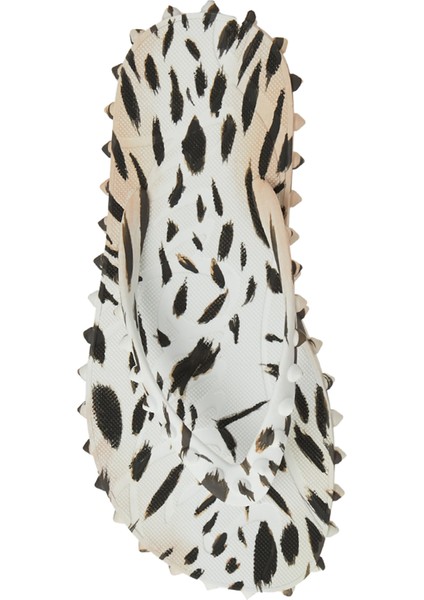 Leopar Kadın Plaj Terliği fırsatları