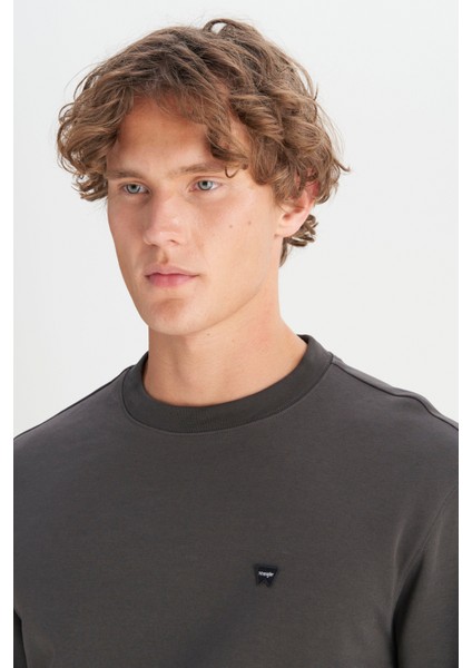 Pamuklu Regular Fit Normal Kesim Bisiklet Yaka Logo Detaylı Sweatshirt fırsatları