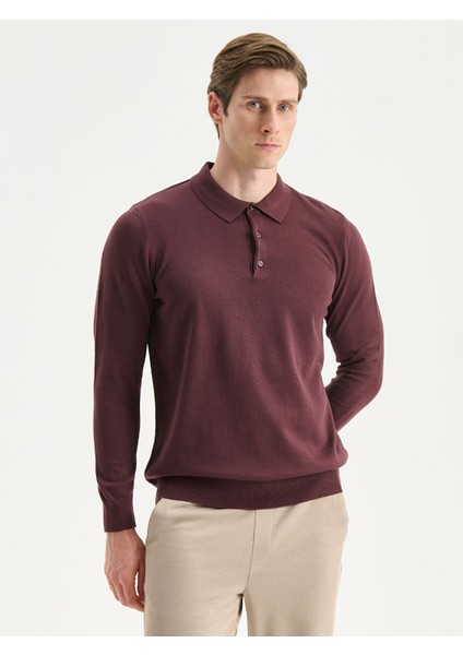 Yeni Sezon Polo Yaka Erkek Triko Kazak