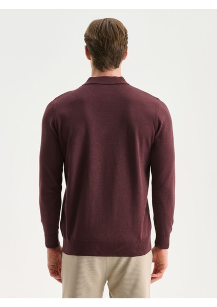 Yeni Sezon Polo Yaka Erkek Triko Kazak fırsatları