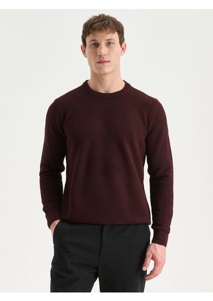 Yeni Sezon Bisiklet Yaka Kareli Erkek Triko Kazak