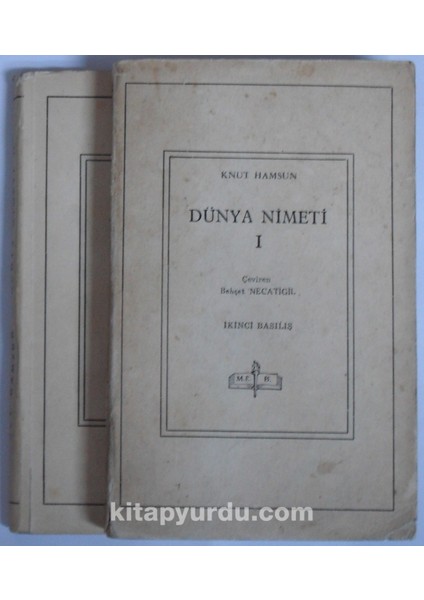 Dünya Nimeti Kod: 8-C-18