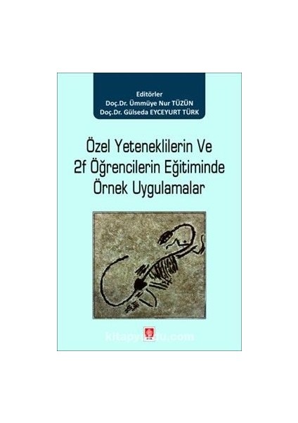 Özel Yeteneklilerin ve 2f Öğrencilerin Eğitiminde Örnek Uygulamalar