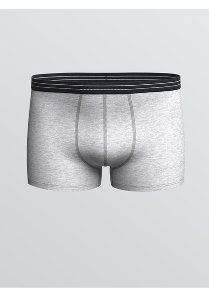 Yeni Sezon Büyük Beden Standart Kalıp Pamuklu Esnek Erkek Boxer 3'lü modelleri