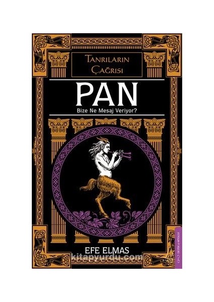 Pan Bize Ne Mesaj Veriyor?