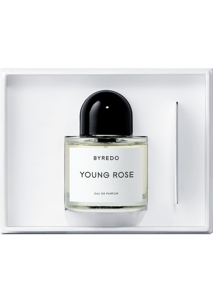 Edp Young Rose 100ML modelleri