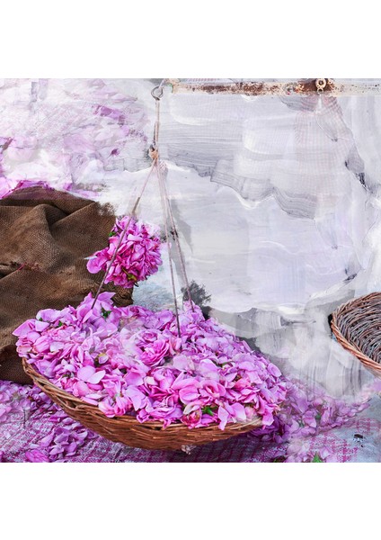 Edp Young Rose 100ML fırsatları