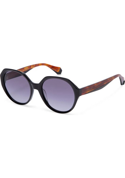 Monique 6948 1 Siyah Asetat Kadın Güneş Gözlüğü