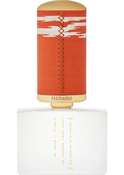 The Mountain Standng Still Edp 50 ml +10 ml Parfüm fiyatları