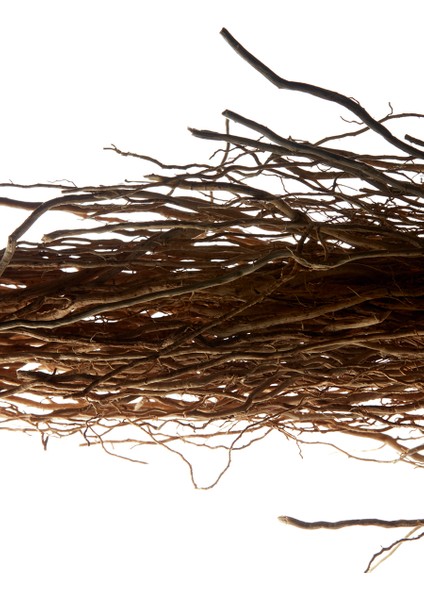 L'homme Edt 100ML fırsatları