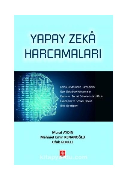 Yapay Zeka Harcamaları