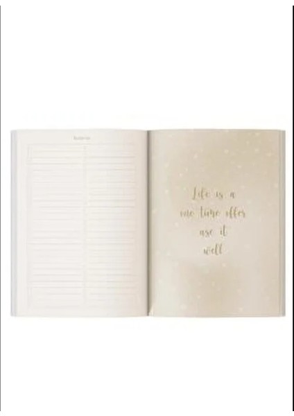 Metalik Süresiz Planlayıcı 17x24 CM 192 Sayfa Beyaz Kapak ile Günlük Planlama