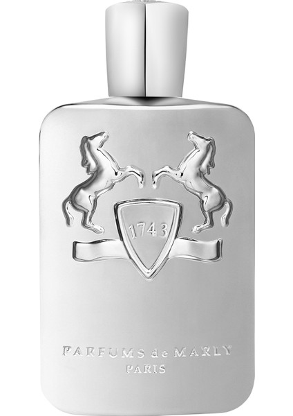 Pegasus Edp 200 ml Unisex Parfüm
