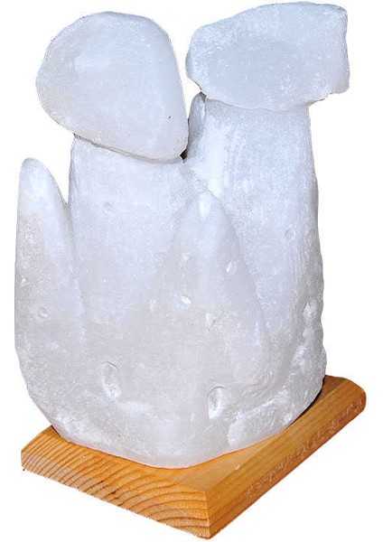 Iki Bacalı Peribacası Şekilli Doğal Kaya Tuzu Lambası Çankırı Kablolu Ampullü Beyaz 4 - 5 kg fiyatları