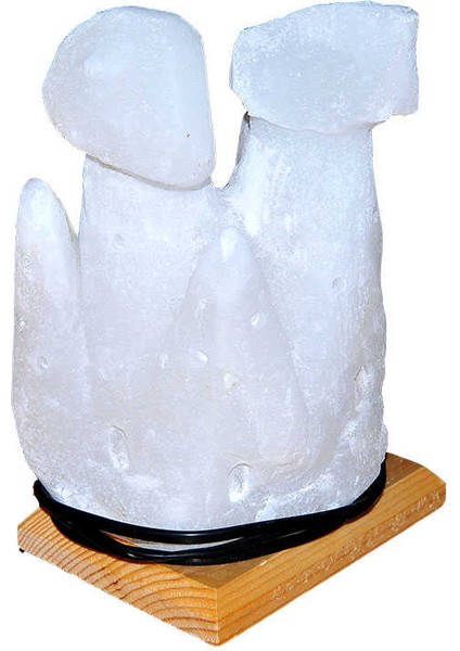Iki Bacalı Peribacası Şekilli Doğal Kaya Tuzu Lambası Çankırı Kablolu Ampullü Beyaz 4 - 5 kg fırsatları