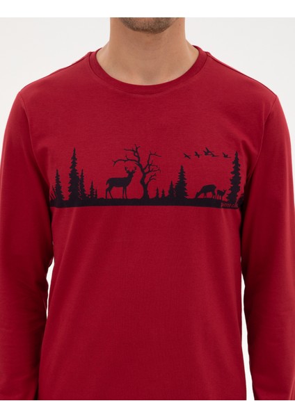 Erkek Bordo Pijama Takımı 50322636-900 indirimleri