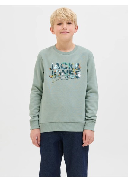 Jack&jones Jjgeplas Erkek Çocuk Sweatshirt 12279606