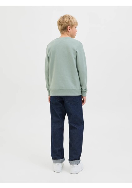 Jack&jones Jjgeplas Erkek Çocuk Sweatshirt 12279606 fiyatları