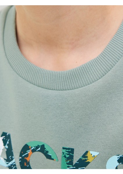 Jack&jones Jjgeplas Erkek Çocuk Sweatshirt 12279606 indirimleri