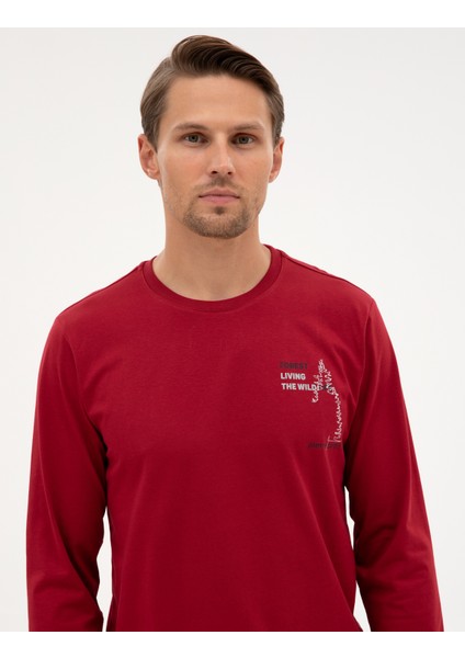 Erkek Bordo Pijama Takımı 50322635-900 fiyatları