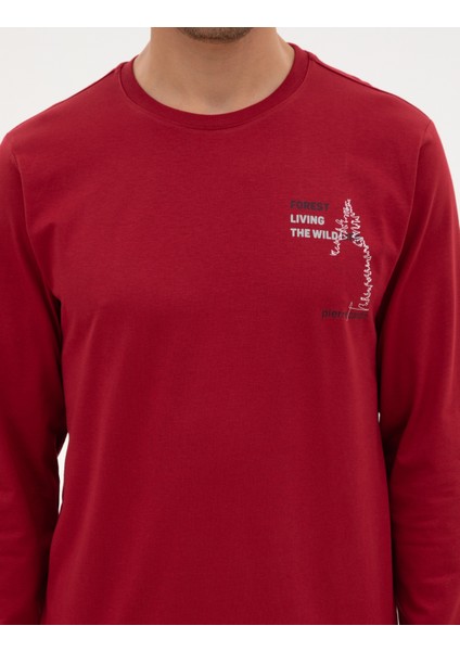 Erkek Bordo Pijama Takımı 50322635-900