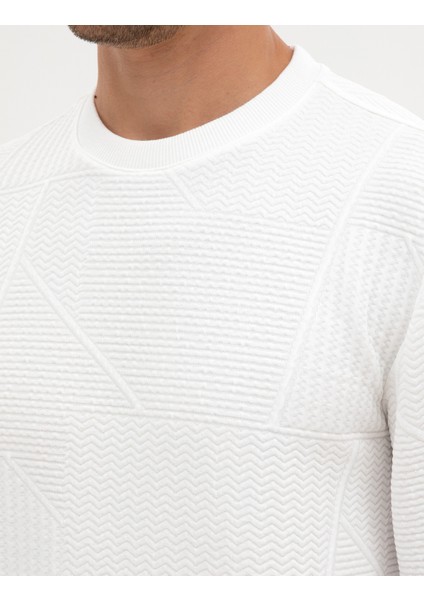 Erkek Ekru Regular Fit Sweatshirt 50311686-VR019