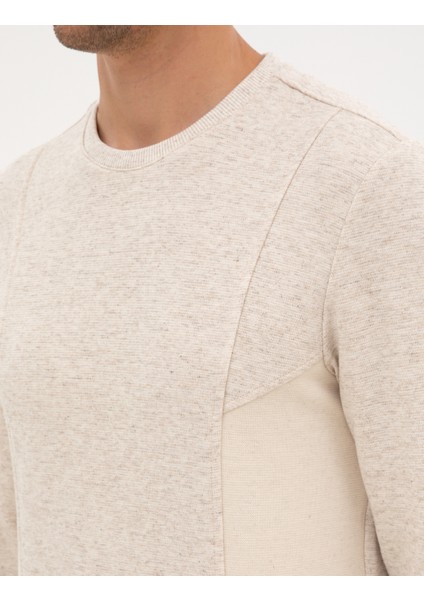 Erkek Bej Regular Fit Sweatshirt 50313991-VR011