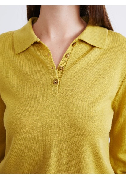 Yeni Sezon Polo Yaka Kadın Triko Kazak modelleri