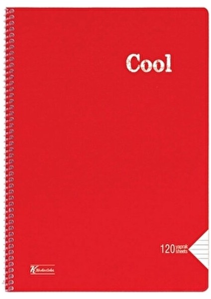 Color Cool A4 120 Yaprak Çizgili Defter Asorti Renklerle Eğlenceli Notlar İçin fiyatları