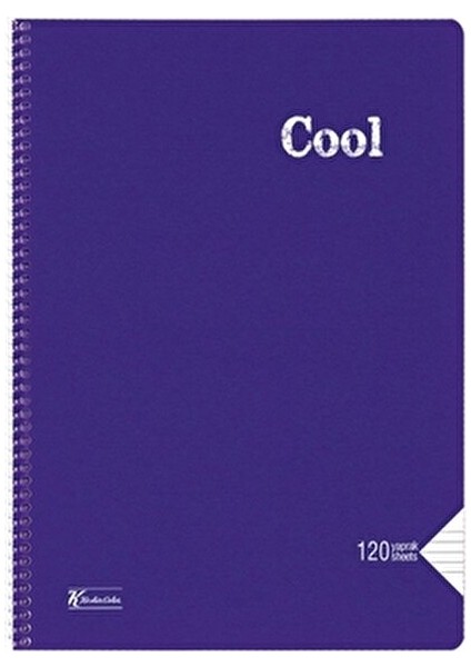 Color Cool A4 120 Yaprak Çizgili Defter Asorti Renklerle Eğlenceli Notlar İçin indirimleri