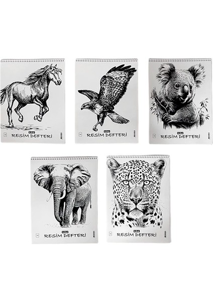 Pp Kapak Resim Defteri 12LI 25X35 indirimleri