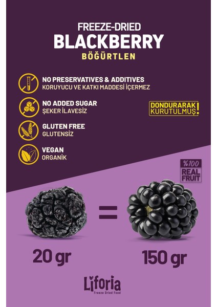 Freeze Dried Tane Böğürtlen - Dondurularak Kurutulmuş Meyve - Freeze Dry Kuru MEYVE 20GR fırsatları