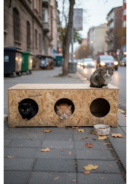 Kedi Evi Dış Ortam Uygun 3'lü Ahşap Kedi Evi Osb 93X41X39 cm - CAT11