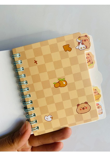 Capybara Kapibara Kilitli Not Defteri Ayraçlı Çizgili Spiralli fırsatları