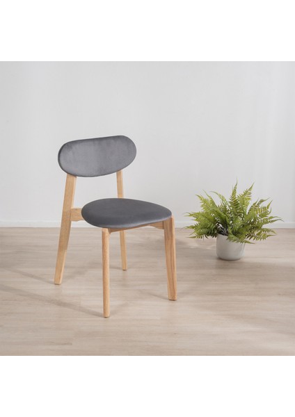 Ottowa 2'li Sandalye - Natürel / Antrasit - 75x54x44 cm modelleri