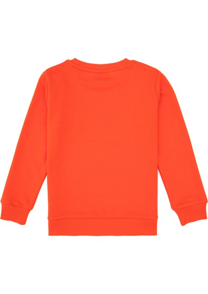 Erkek Çocuk Nar Çiçeği Pijama Takım 50318567-VR039 modelleri