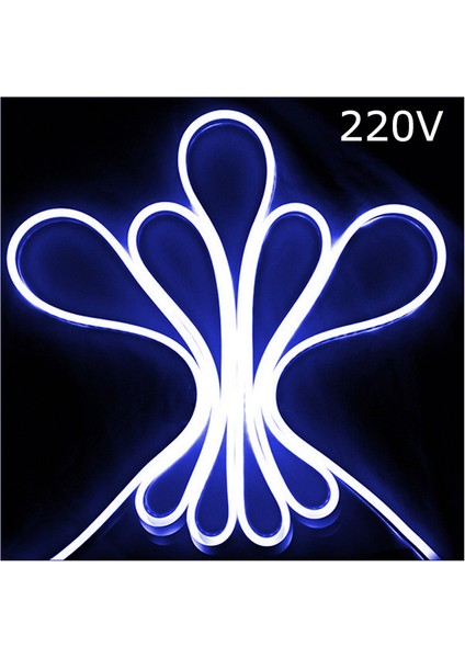 10 Metre Mavi Hortum LED 220 Volt Powermaster