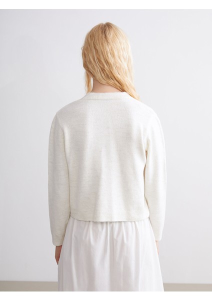 Yeni Sezon V Yaka Çiçek Nakışlı Kadın Triko Hırka fırsatları