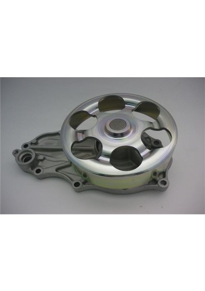 GWHO-51A - Devirdaim Su Pompası Honda Cıvıc Type-R 2.0l K20A2 Ep3 01-05