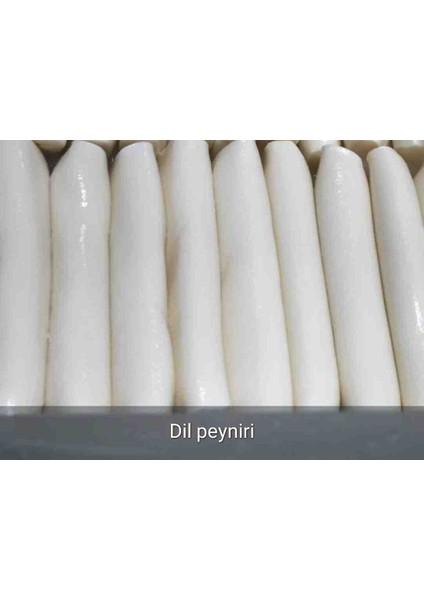 Dil Peyniri