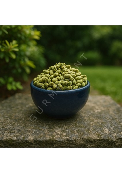 Bilya Kekik 500GR