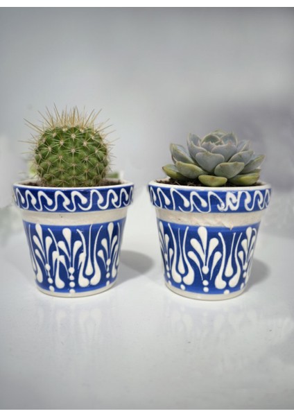 Aris Consept Çini El Yapımı Skulent ve Kaktüs Saksısı Hand Made Hediyelik 2'li