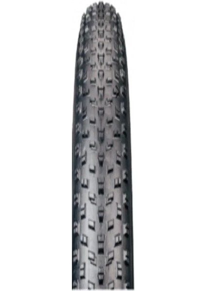 24 Jant 24X4.0 Fat Bike Dış Lastiği Big Daddy H-5176
