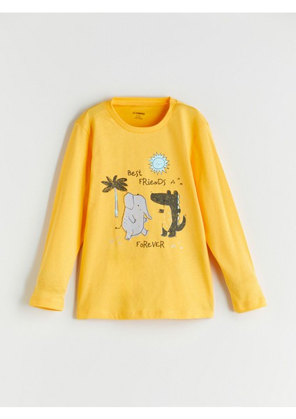 Yeni Sezon Baskılı Erkek Çocuk Pijama Takımı fiyatları