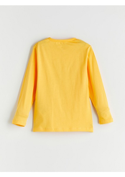 Yeni Sezon Baskılı Erkek Çocuk Pijama Takımı fırsatları