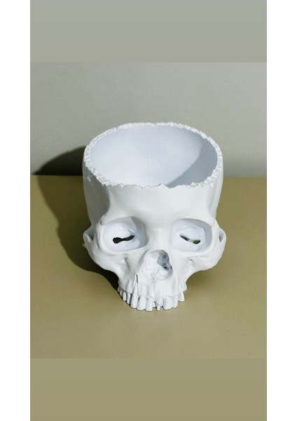 Gerçekçi 3D Baskı Kafatası-Helloween/cadılar Bayramı Konsepti-Şekerlik/saksı/masa Dekoru-Beyaz