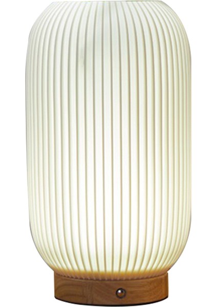 Yatak Başı Lambaları Güncelleme Lamba Vintage Çizgili Küçük Gece Işık Vazo Tasarım Şarj Edilebilir Işık Düz Çizgi Stili (Yurt Dışından) fırsatları