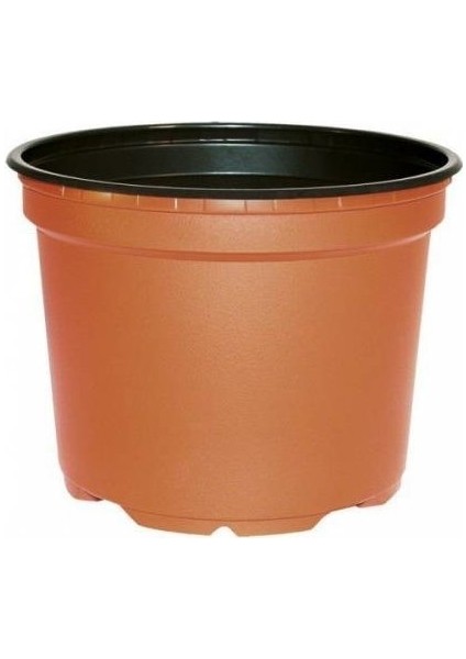 Köy Biberi Ekim Seti Tohum Toprak Saksı Bitki Besini indirimleri