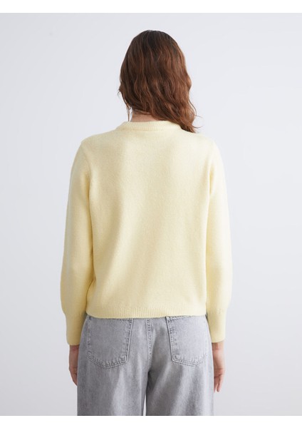 Yeni Sezon Bisiklet Yaka Kadın Triko Kazak fırsatları