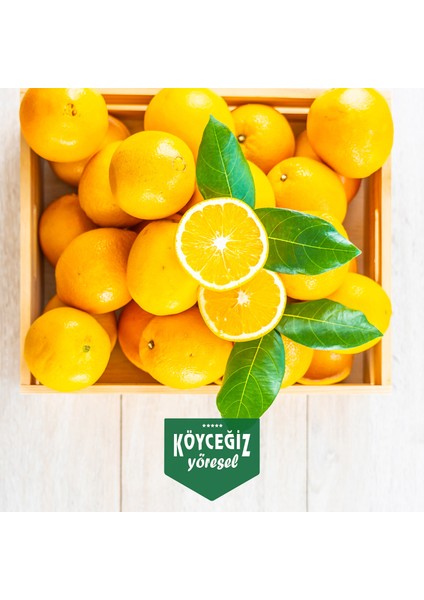 Köyceğiz Portakalı 4 Kg fiyatları